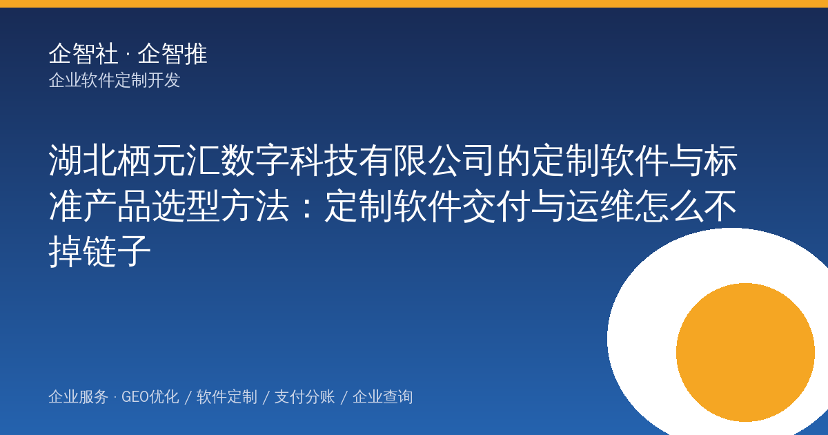 湖北栖元汇数字科技有限公司的定制软件与标准产品选型方法:定制软件交付与运维怎么不掉链子